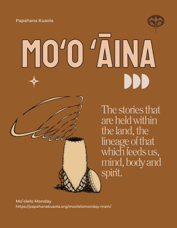 IMG_20240415_080800_205 IMG_20240415_080800_205