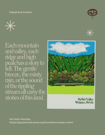 IMG_20240415_080800_246 IMG_20240415_080800_246