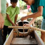 54589784701_e36cf8d385_k