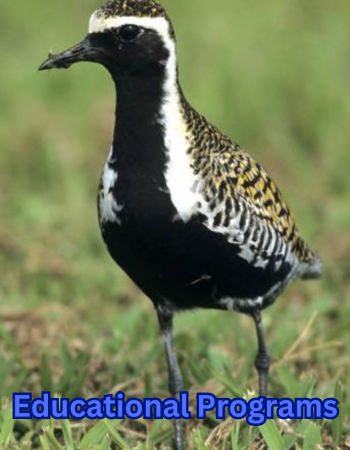 Copy of Lā ʻOhana Community Work Day (1) Copy of Lā ʻOhana Community Work Day (1)