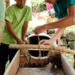 IMG_20250615_063107_236